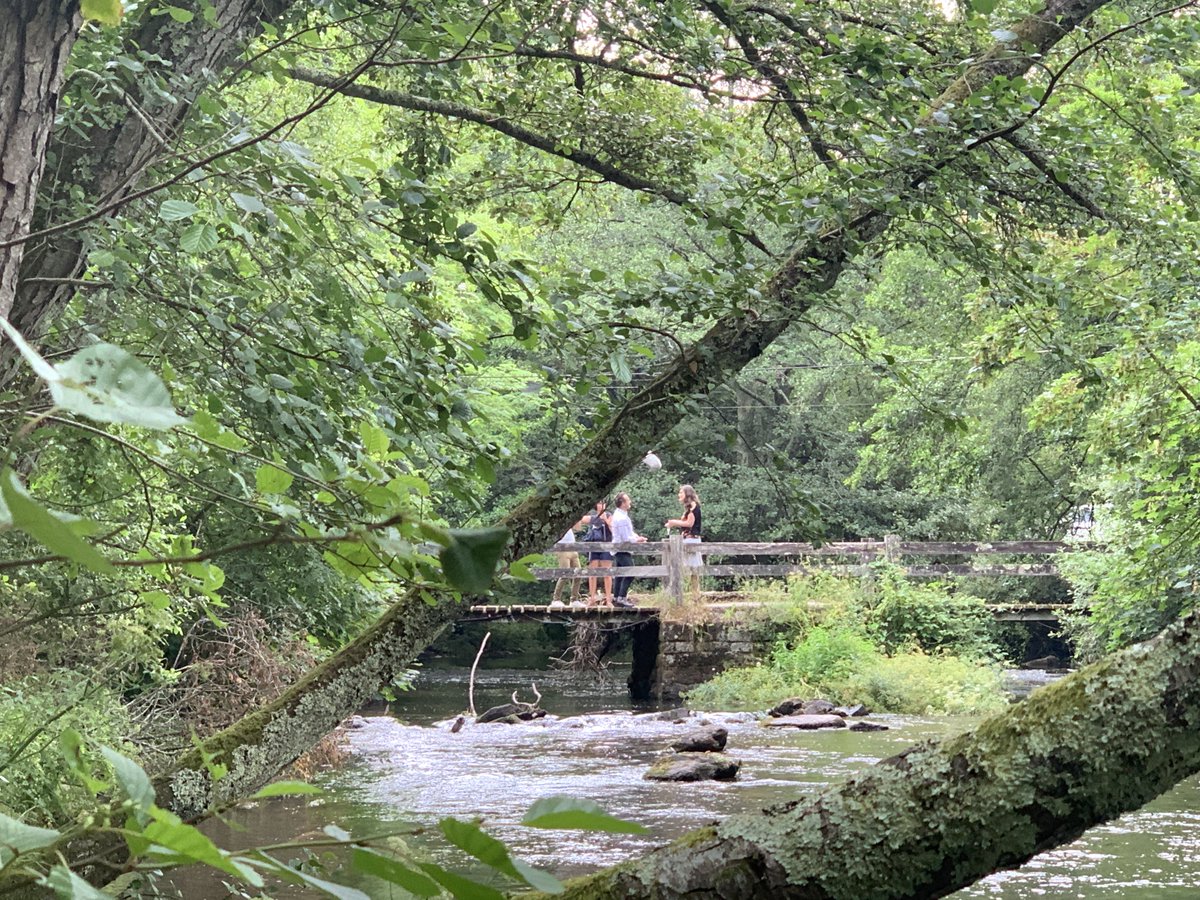 museepontaven's tweet photo. Aujourd’hui, tournage de Télématin sur Pont-Aven. Sophie Kervran (conservatrice en cheffe des musées du CCA) s’est rendue sur les traces de Paul Sérusier au Bois d’Amour pour une présentation du célèbre tableau de l'artiste : « Le Talisman ».📽️  #Pontaven #Serusier https://t.co/tOa3LA6b99