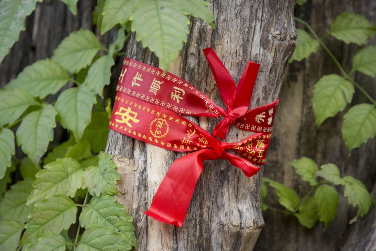 I bow 
To word of the day bough
Here's one with a bow
English is odd, you know!
#microprompt