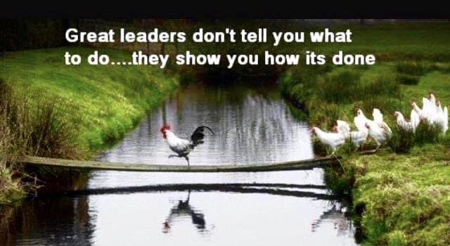 Everyday is a school day!