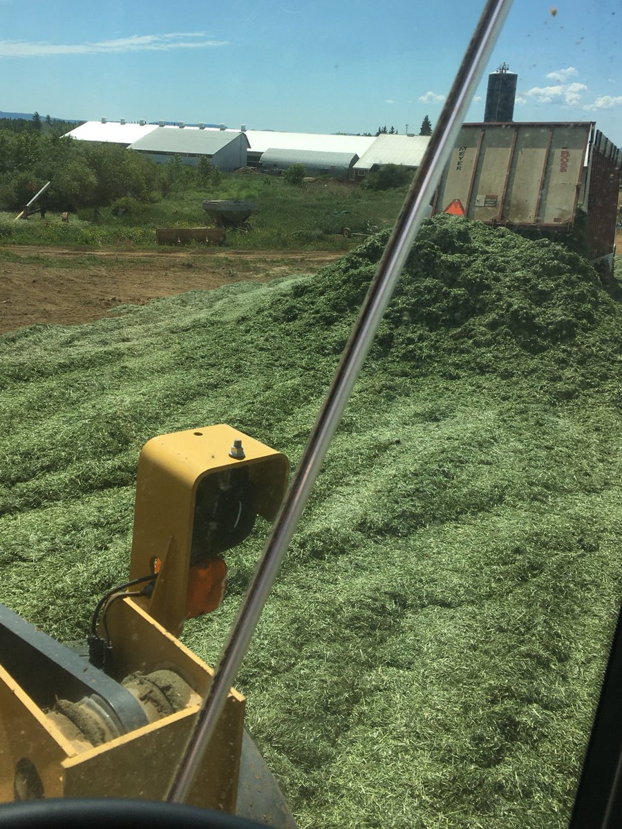 BernieKamphof's tweet image. This brings back memories! #backandforth #haylage20 #baggerproblems