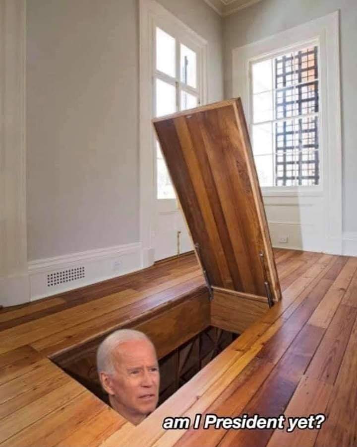 mwyszynski's tweet photo. "Am I president yet?" @JoeBiden #BunkerBiden https://t.co/JeK6D1L51y