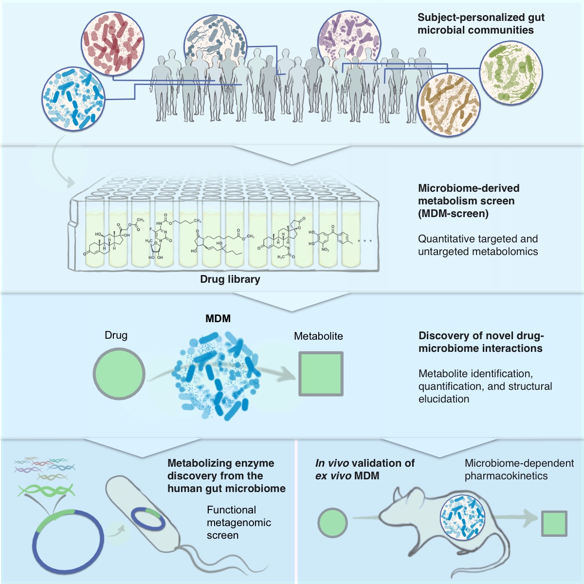 CellCellPress's tweet photo. How do #drug-#microbiome interactions vary between individuals? A map of the microbiome's ability to #metabolize small #molecules aims to answer this question. New Resource in the latest issue! https://t.co/NmMeKnrPj3 @donia_lab @Princeton https://t.co/ONBoSo2PtA