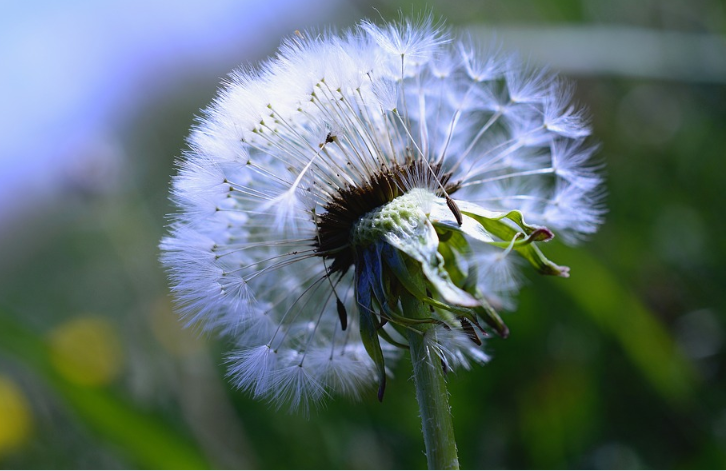 AlaskaDEC's tweet photo. Did you know that homeowners use more pesticides per acre than most agricultural growers?  Make sure you follow safety precautions on the pesticide label to keep your family, pets, and local ecosystem safe.  Learn more at: https://t.co/FHWfawvr8I https://t.co/GKJmfEgu0p