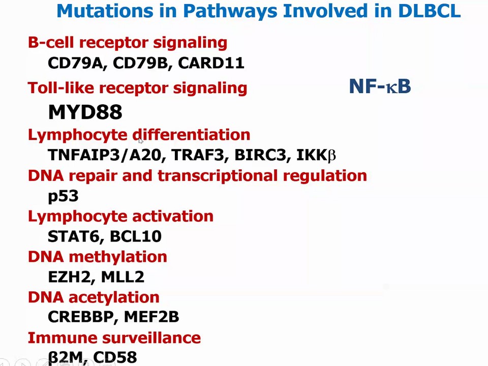 (1/5) Key points from today's amazing lecture by <a href="/ljmedeirosMD/">LJMedeirosMD</a> :

Major mutations in pathways involved in DLBCL+ potential targets that can be assessed by IHC, summarized in the pics below

#hemepath #hemepathmda #virtualpath #virtualhemepathmda 

<a href="/KirillLyapichev/">Kirill Lyapichev</a> <a href="/MDAndersonNews/">MD Anderson Cancer Center</a>