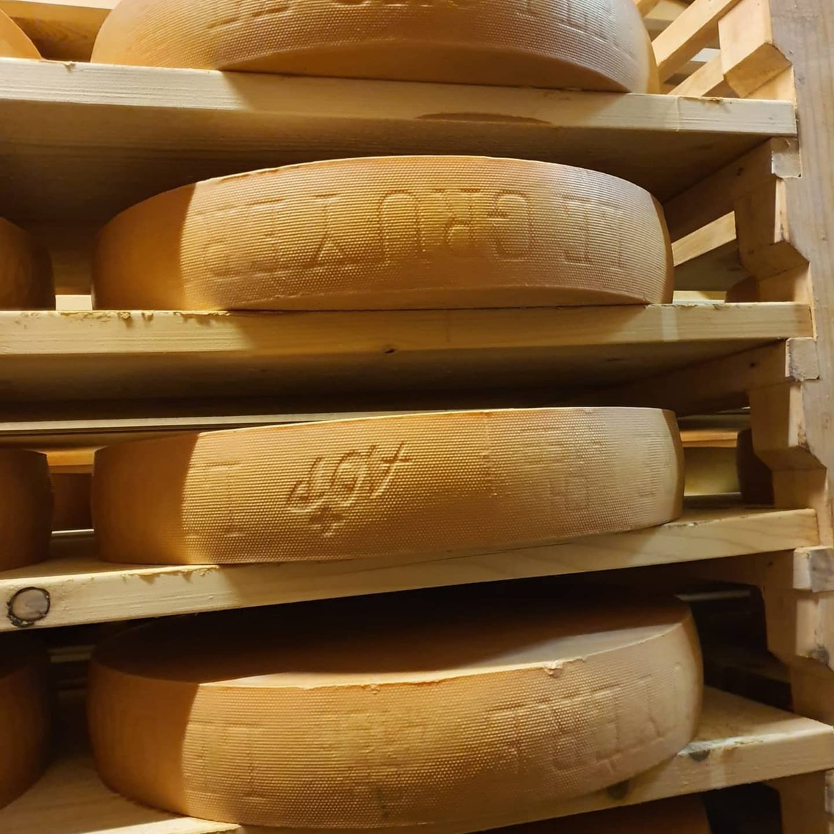 LluviaFm's tweet photo. #switzerland #cheesefactory #paradise ! We tour from #vevey to #pingy to visit #legruyère amazing process very educational to know learn from #oldest #cheese #makers in the world (since 1115) #omg they listen to 99.9fm and https://t.co/sFoYcqcgXx #gonnamissit ? #goodVibes https://t.co/D03gIVlssk