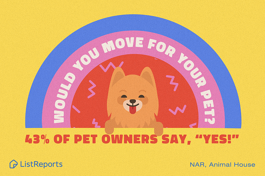 1stClassLinda's tweet photo. They’re called fur babies for a reason, pets are like family. What are the things you indulge in for your pets?
==
#thehelpfulagent #pets #houseexpert #furbaby #listreports #home #move #realestate #realestateagent #1stClasspg #1stClassLinda https://t.co/jj4KhRbYcP