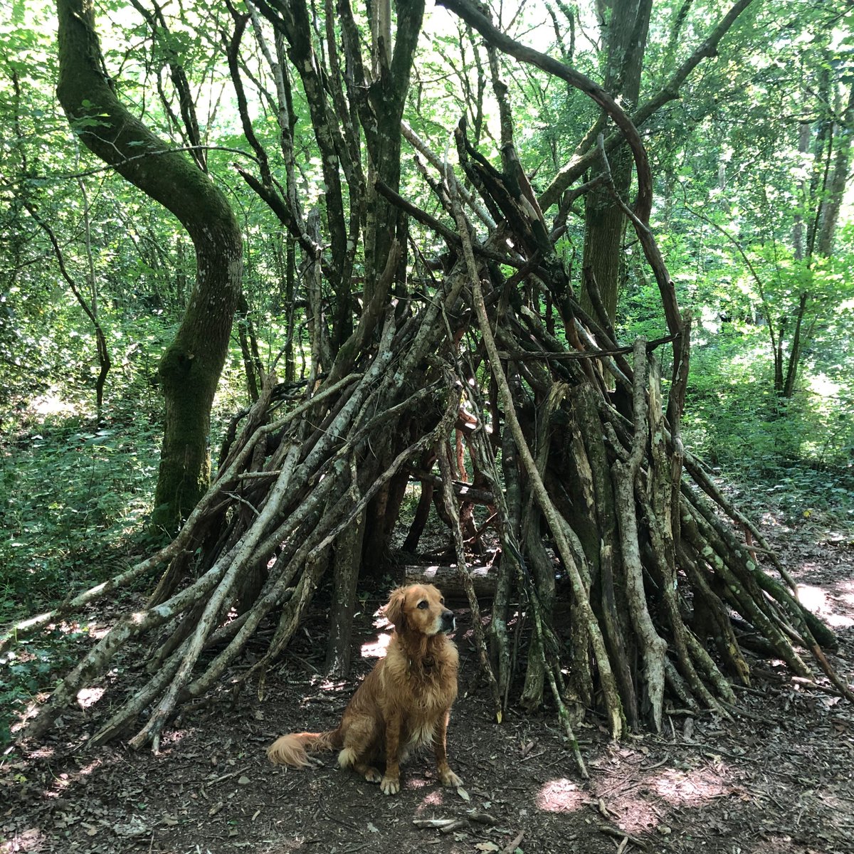 Look! @ClareHelenWelsh, we found #ThePerfectShelter today on our walk. Thought of you and your beautiful book, of course. Happy publication day! 💛