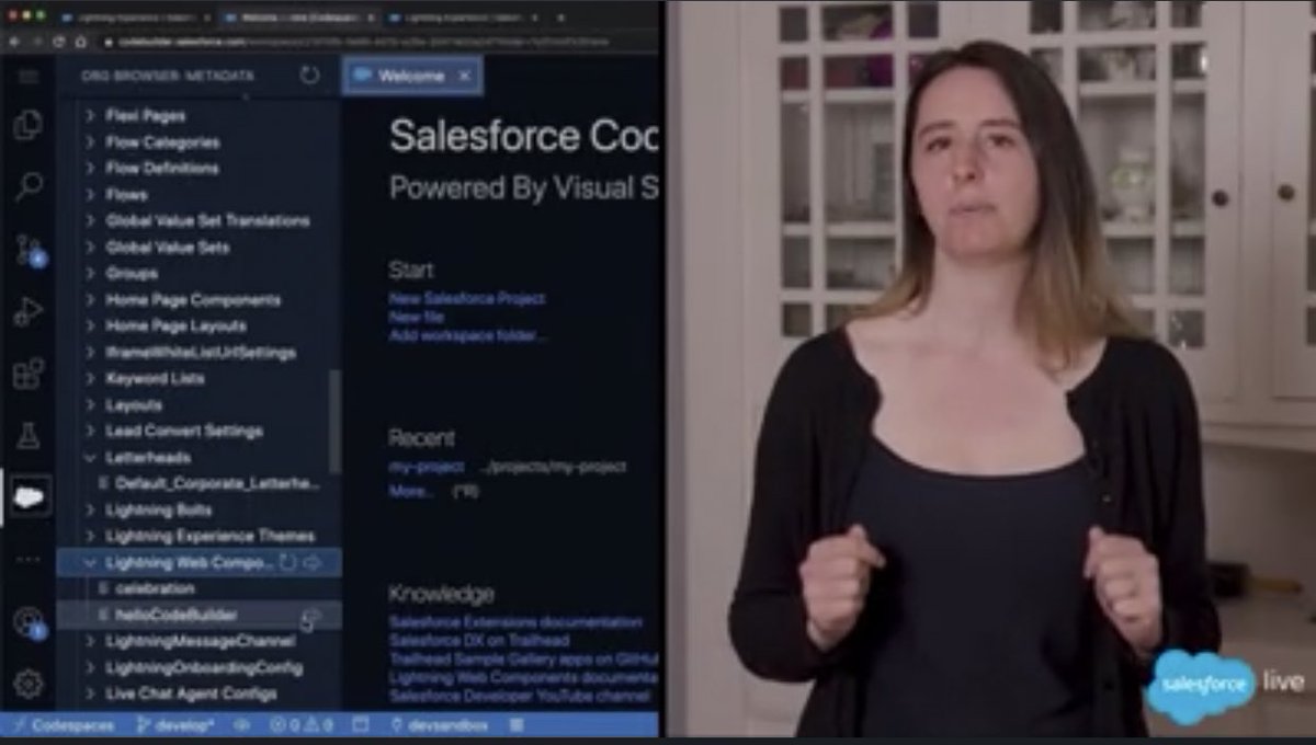 vineet1817's tweet image. So here we have #devops by @zaynelt  and #codebuilder by @ClaireSFDX