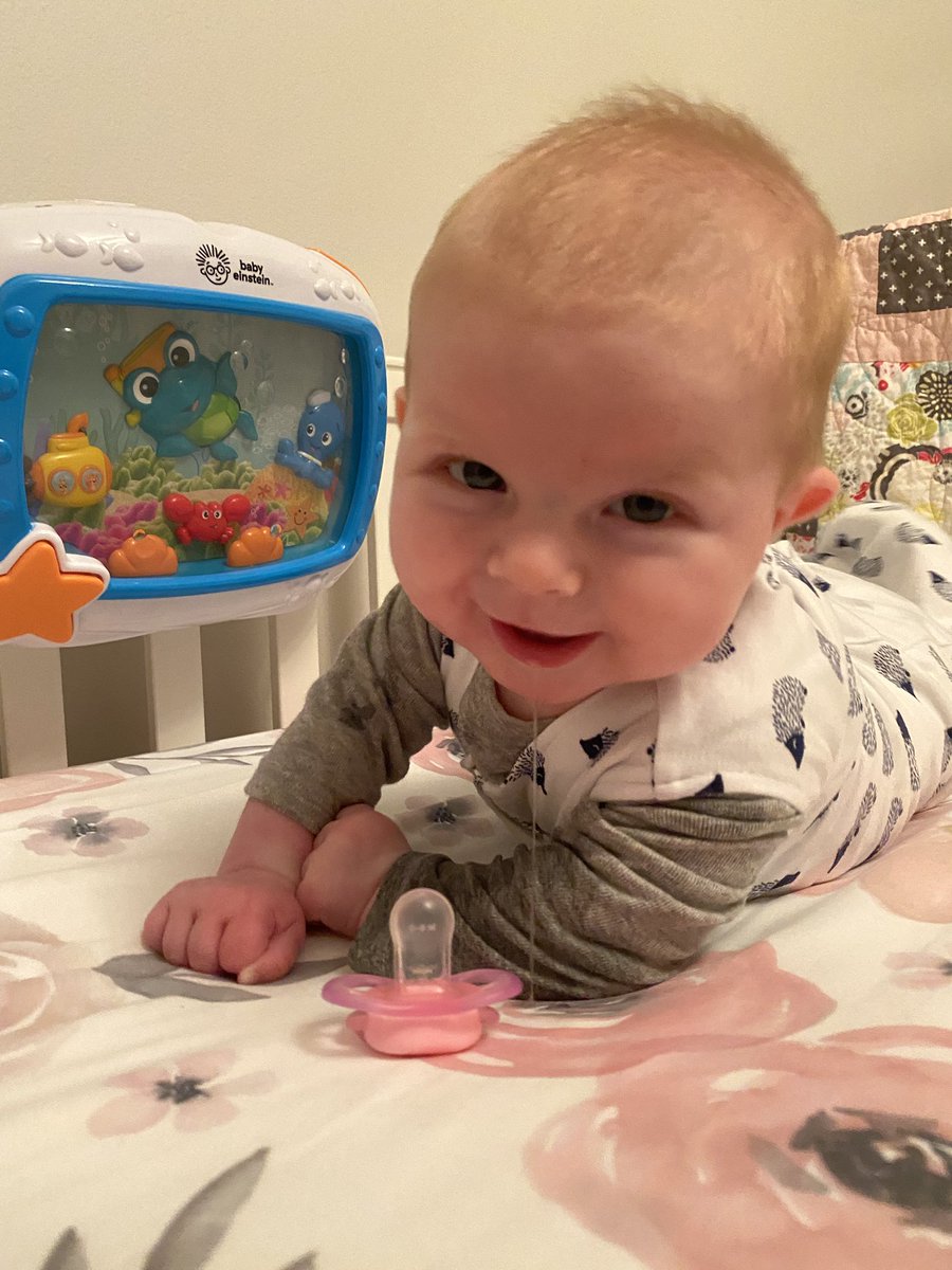 Baby’s Log: Day 134 - The large, native, ape-like creatures would like me to do something they call “nap.” I believe this is a trap and will roll over until I find a way to escape this cage they locked me in. Wish me luck.