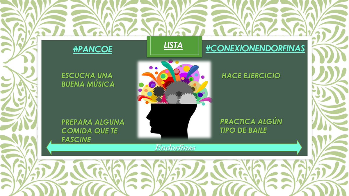 pan_noti's tweet photo. Hola pancitos! Acá les comparto mi lista de #conexionendorfinas para estos #tiemposdepancoe❤️
#Roma6 #pancoe16 https://t.co/sQK5MH1liI