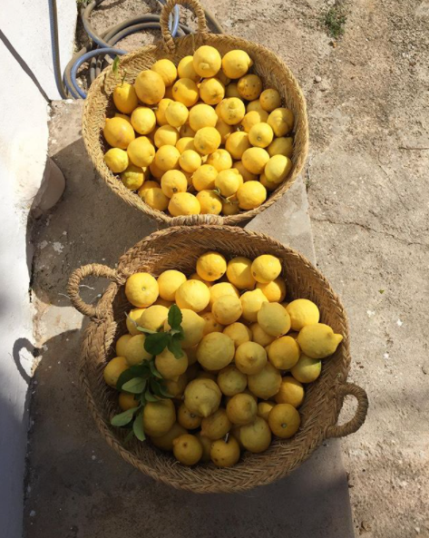 CitroBeauty's tweet photo. Simple things 🍋✨

#Verano #Summer #CostaBrava #Mediterraneo #CitroBeauty #AmalfiCoast #Amalfi #Barcelona #BeachHouse #Garraf #cadaques #mediterraneanlife #mediterraneamente #costaamalfitana #Lemon #Mallorca #farmhouse #plantbased https://t.co/Sc7SuJfibH