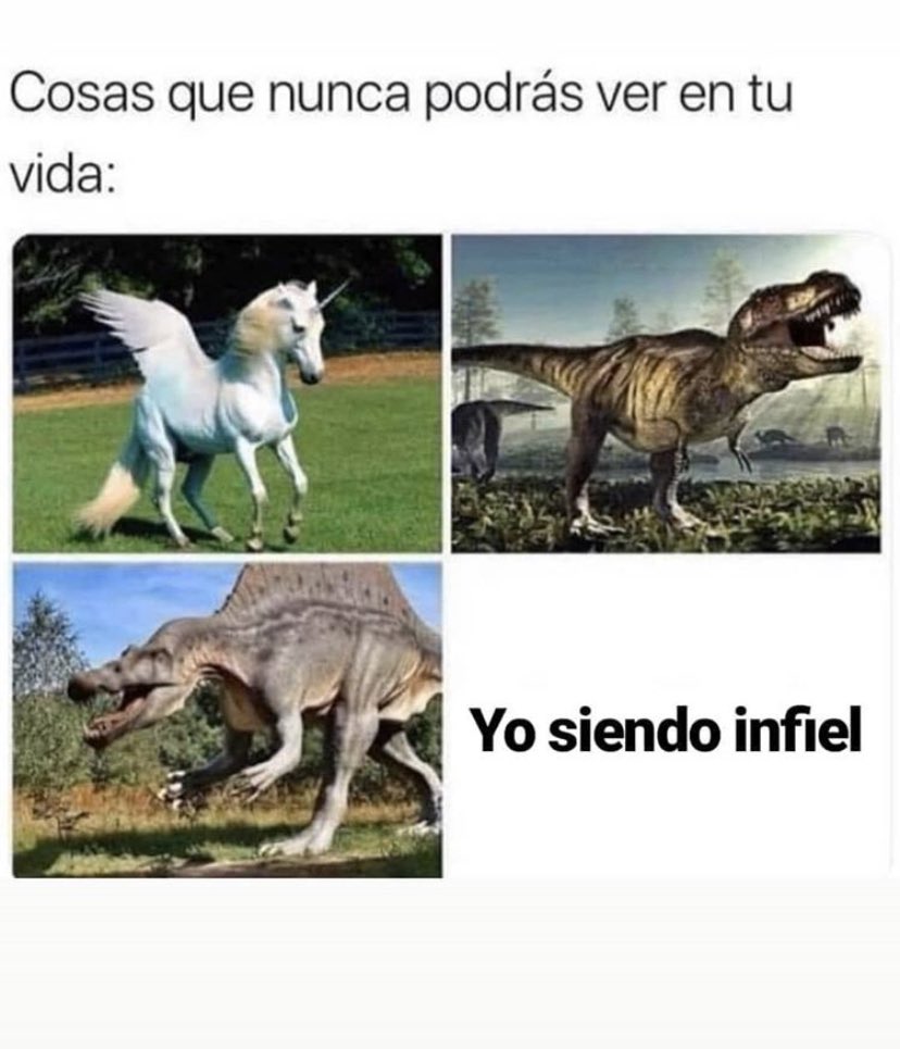 omarmontesSr's tweet photo. Hola https://t.co/mjr4JYvz2p