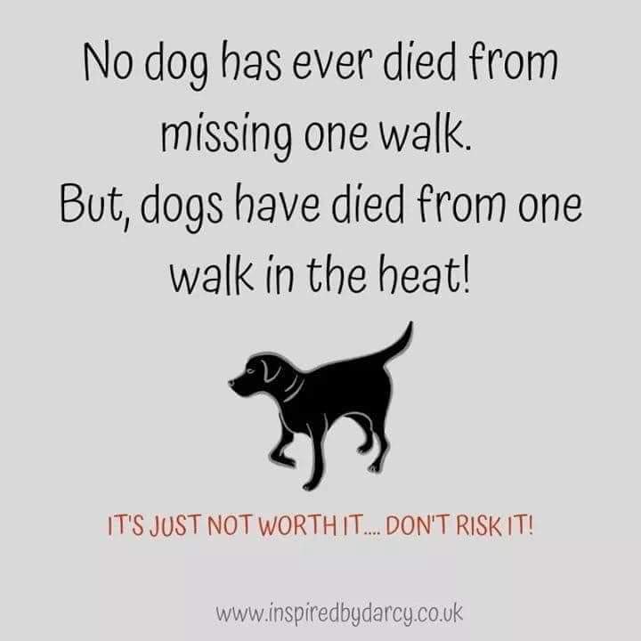 Park Vet Group tweet media