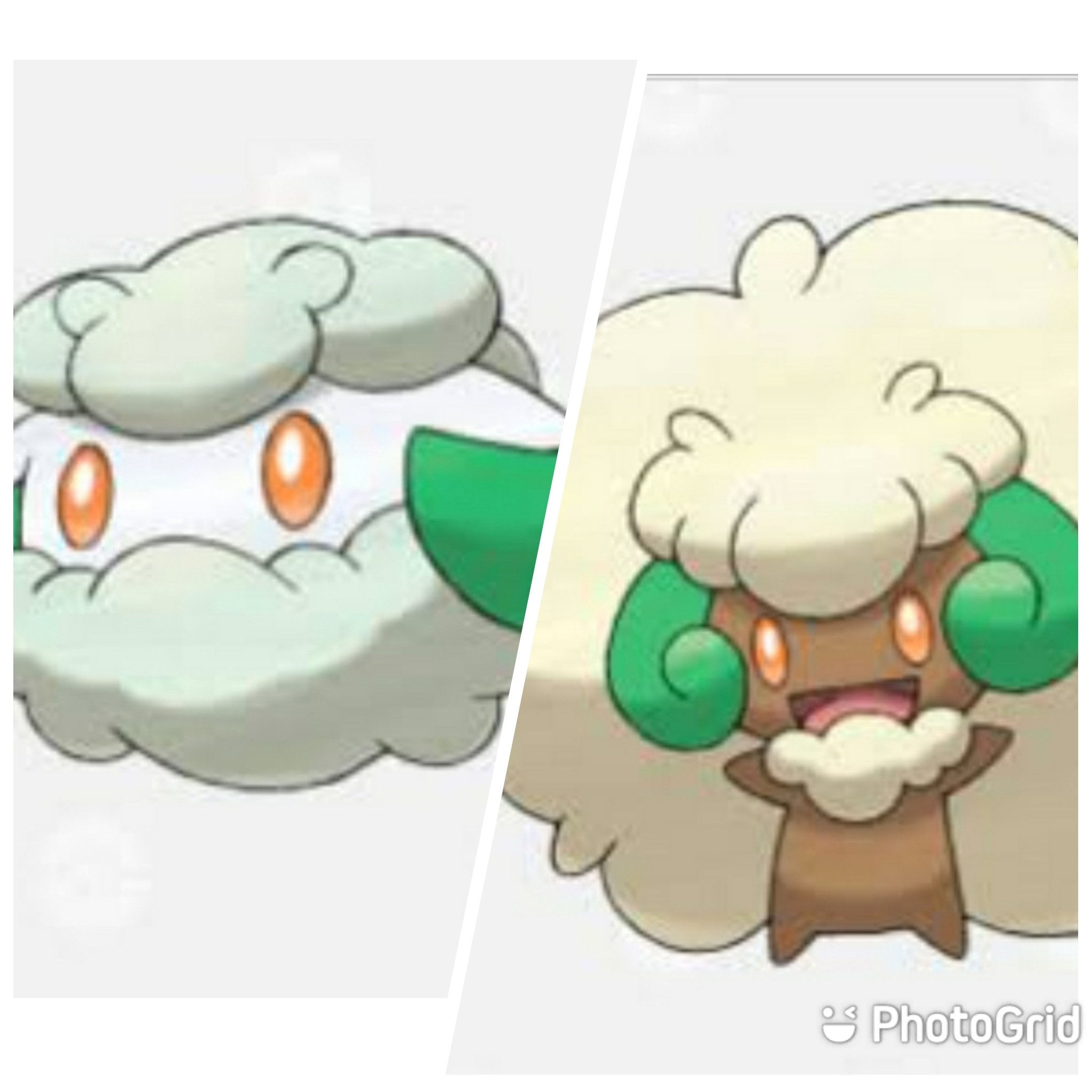 Onepoke Twitterissa 新ポケモンのチュリネと進化系のドレディア T Co Glzzm86nde T Co Natehps5e9 Twitter