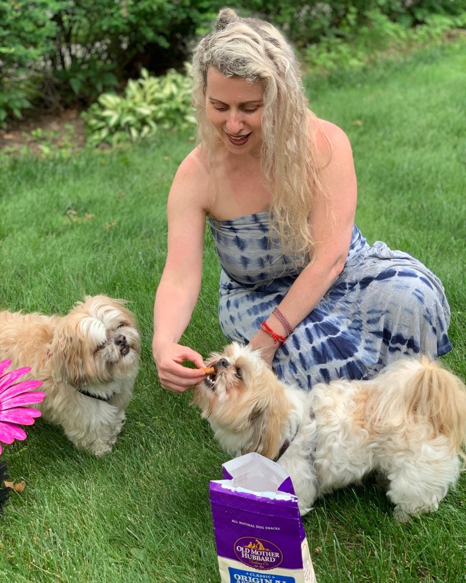 MelissaSChapman's tweet photo. #AD Add #OldMotherHubbard treats directly to your @Walmart cart 🛒 with their #click2cart feature so you can experience the joy of treating of your dog! shop-> https://t.co/Zz0Z6YPFcf & read my post to help your dog live their best life! https://t.co/oHjhroqJrc
@OMHdogsnacks https://t.co/skd7mWVxip