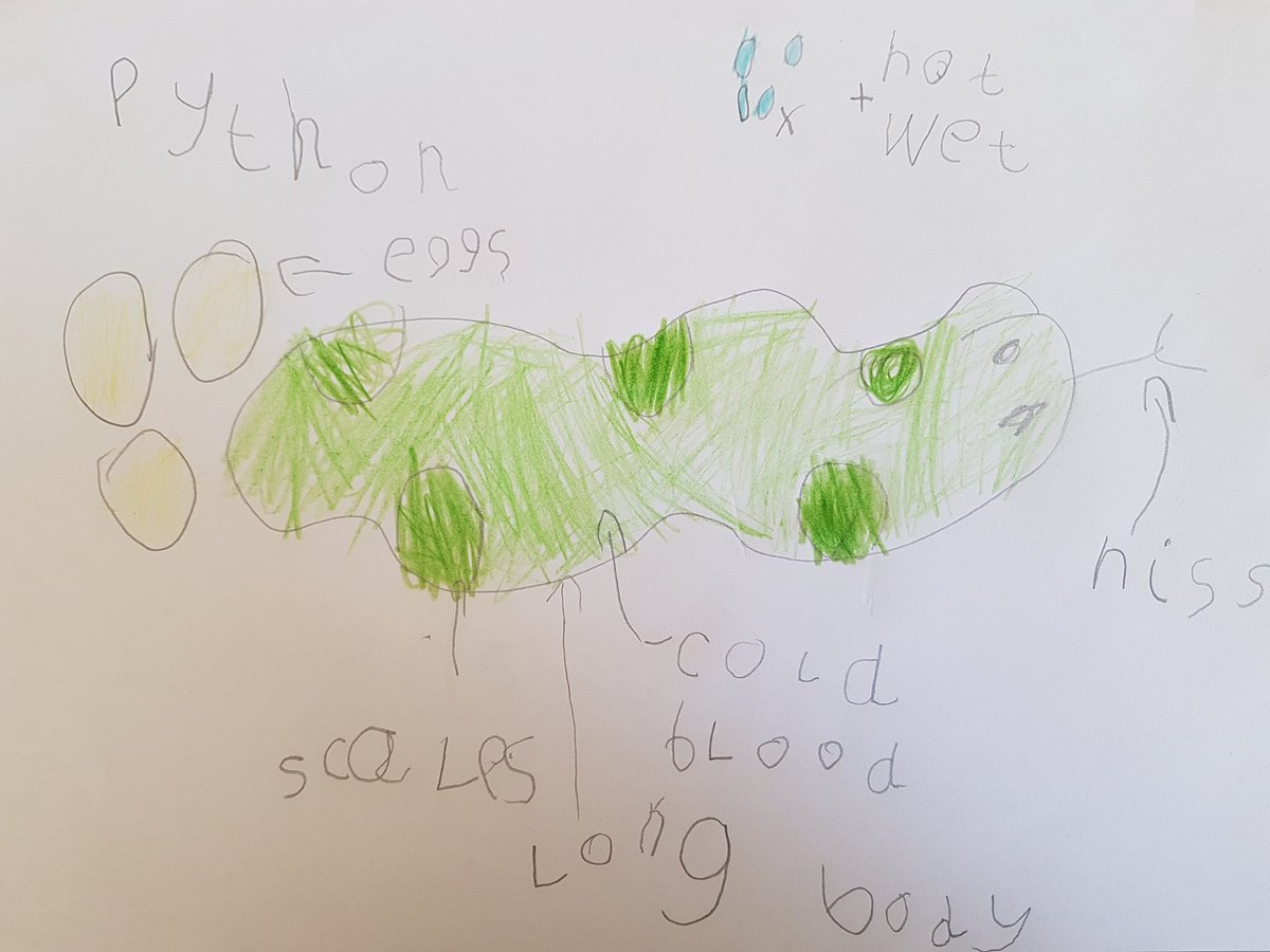 Mrs_JPo's tweet photo. Leah, who usually kicks up a fuss about writing, followed the @OakNational #ONAreception English class very well today, without any help from me! She loves Miss Hughes @MissBethan1's Lessons! @Wentworthonline https://t.co/ffEi9l9CBi