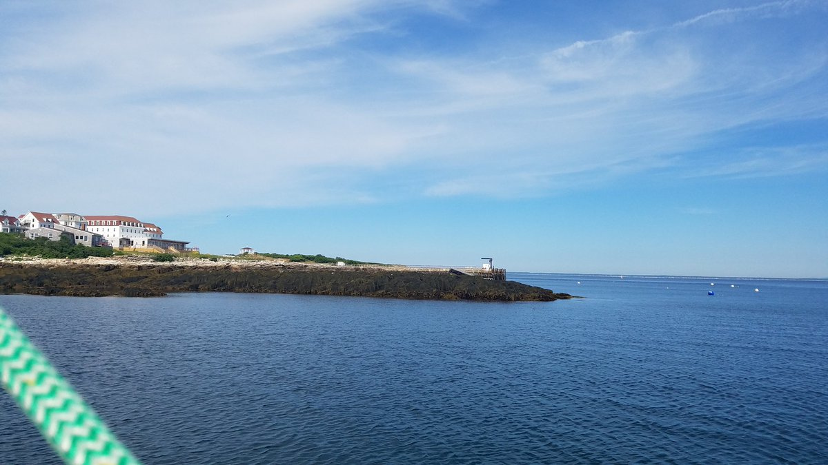 PelsArePels's tweet photo. Low tide near #StarIsland https://t.co/oYGbGC4mYb
