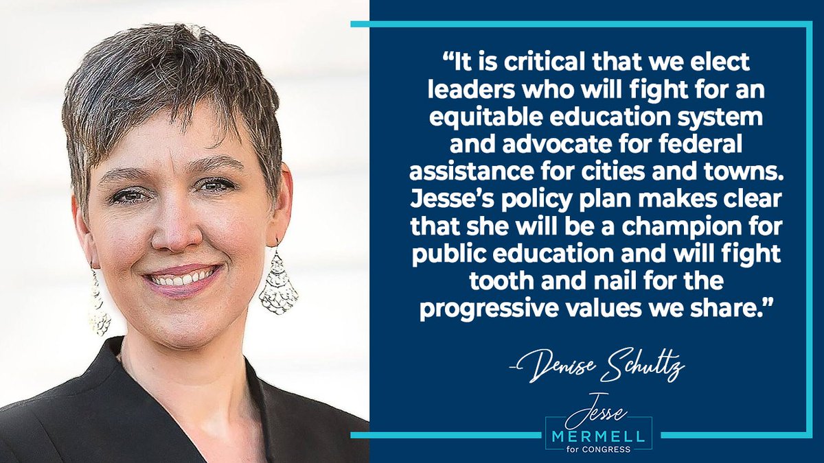  Former Vice Chair of the Franklin School Committee and Former Chair of the Franklin Democratic Town Committee Denise Schultz