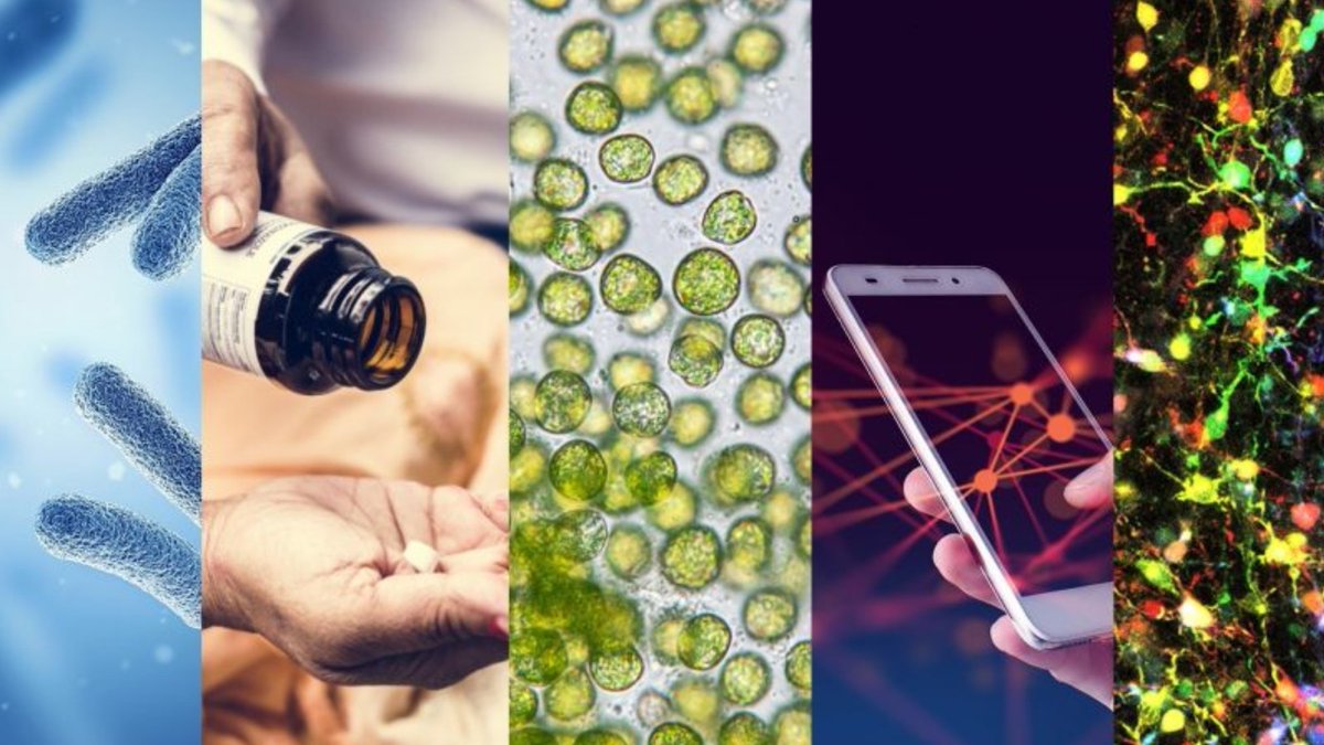 BioElectronics @ Oxford tweet media