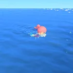 あつ森アップデートしたら最強すぎ!これは沼だw