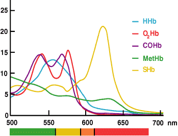 But the reddish color of hemoglobin derives largely from the *porphyrin ring* to which the iron is bound to form “heme” (porphyrin+iron=heme), not just the iron itself. Heme absorbs blue/green & reflects reddish hues, so that’s what we see. (Source for LL: American Scientist)./5