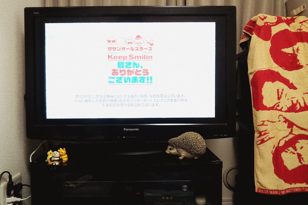 サザン特別ライブ の画面の向こうはこんな感じでした 12ページ目 Togetter サザン特別ライブ の画面の向こうはこんな感じでした 12ページ目 Togetter