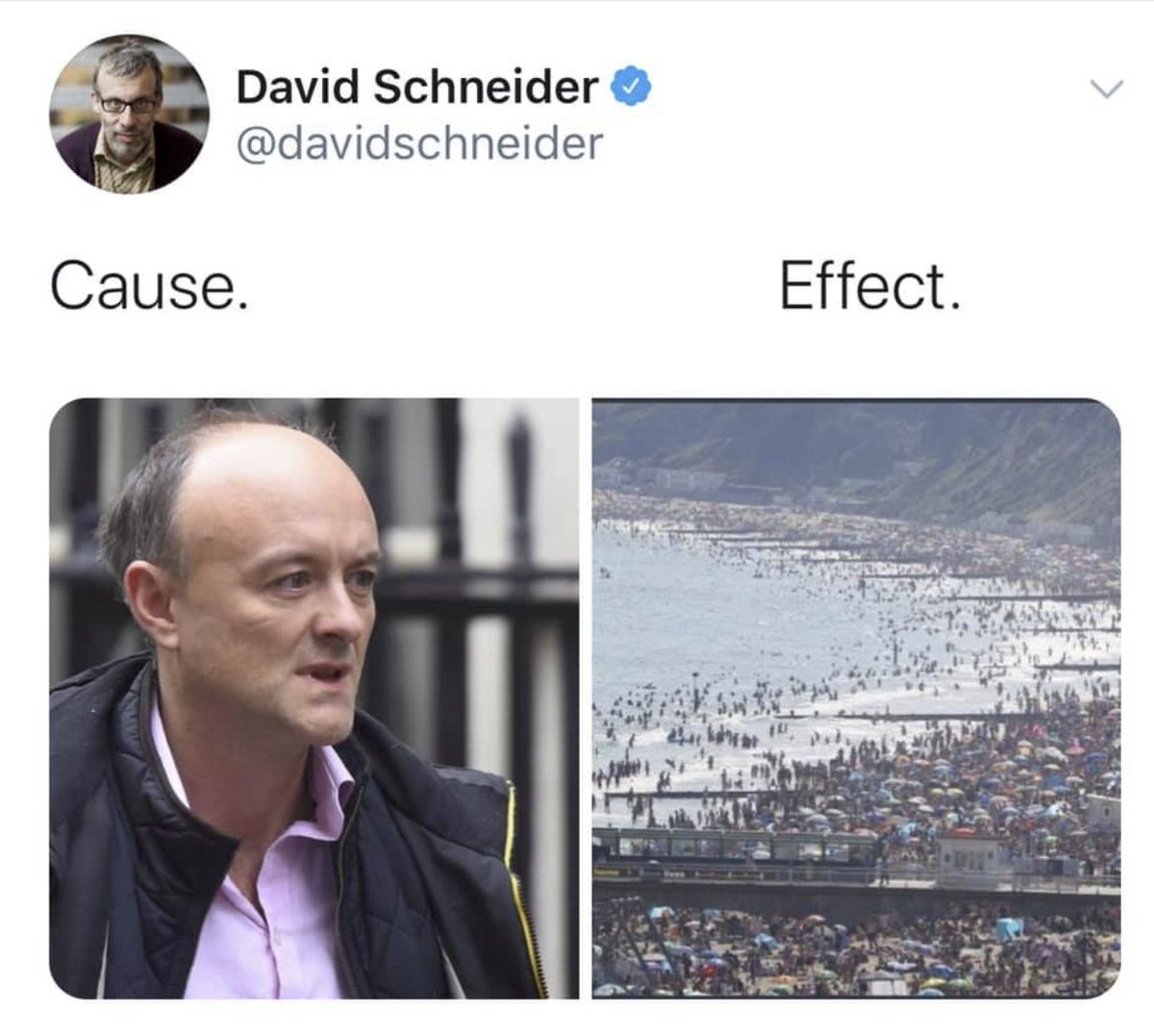 Robin Baker tweet media