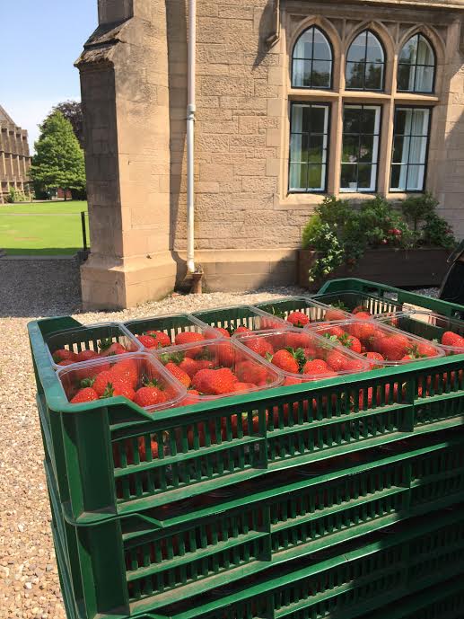 mp_alderson's tweet image. #88: There might be no Wimbledon this year, but there are still strawberries for Commem @GlenalmondColl tomorrow, with thanks to @jg_porter @kateporter6.