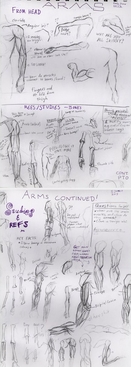 ‘putting into practice’ vs ‘practising’Many artists just draw the same thing over and over until it looks right.In contrast: this is a typical page from my studies sketchbook. Each sketch is to *figure something out*.HEAD: What do I think arms look like?REF: And in reality?
