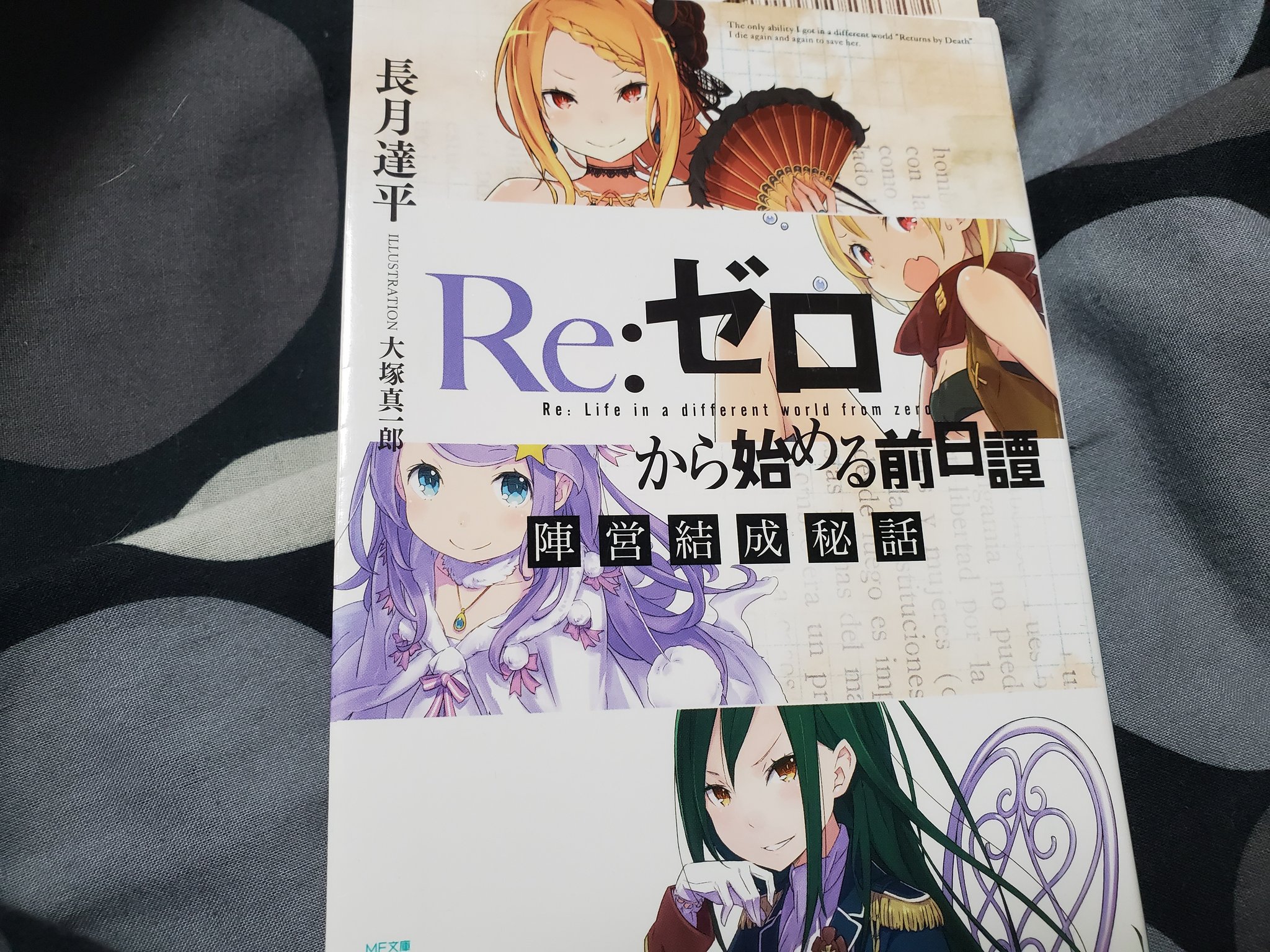 Re:ZERO -Starting Life in Another World-, Vol. 11 (light novel) (Re:ZERO  -Starting Life in Another World-, 11)