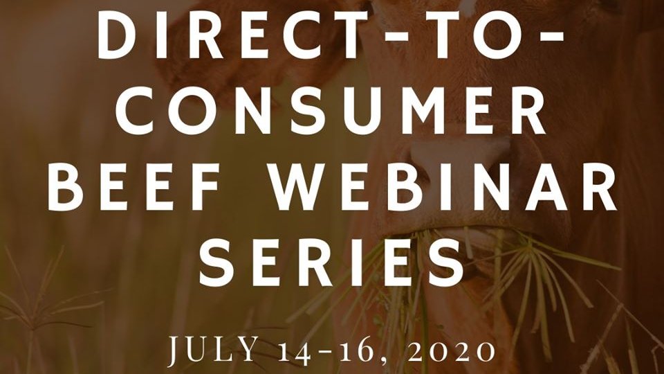 UKAnimalFoodSci's tweet photo. Direct-to-Consumer Beef Webinar Series
July 14, 15, 16 ( 7-8:15pm EDT)

This 3-night webinar series will offer:
• Introduction to production practices
• Processing
• Sales of local beef for new or beginning farmers

(859) 550-3972
kcard@kcard.info

https://t.co/LuzJEoGDpt https://t.co/mMVWtd95OC