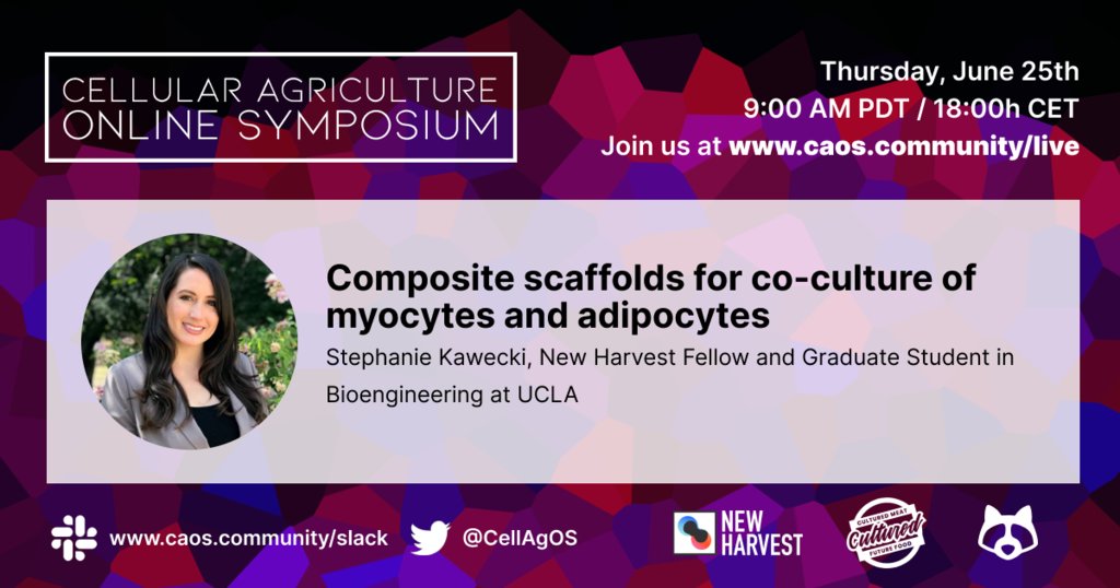 NewHarvestOrg's tweet photo. Hello everyone! I'm NH volunteer, Kyrin Pollock, live-tweeting for today's #CAOS2020 session with @NewHarvestOrg fellow @stephkawec! She will share her work on adapting scaffold physicality to co-culture fat🥓 and muscle🥩 Join me today at https://t.co/Gd3GcQppsP 9am PDT/6pm CET https://t.co/HYYDuSprcT