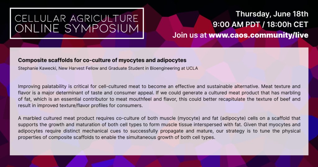 NewHarvestOrg's tweet photo. Hello everyone! I'm NH volunteer, Kyrin Pollock, live-tweeting for today's #CAOS2020 session with @NewHarvestOrg fellow @stephkawec! She will share her work on adapting scaffold physicality to co-culture fat🥓 and muscle🥩 Join me today at https://t.co/Gd3GcQppsP 9am PDT/6pm CET https://t.co/HYYDuSprcT