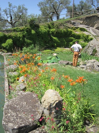 naoko_perugia's tweet photo. #ハス や #睡蓮 の花が咲き 湖の眺めもきれいな水生植物園。先週 #ポルヴェーセ島 を訪ねたときは残念ながら工事中で閉まっていました。#イタリア #ウンブリア #トラジメーノ湖 #FioreDiLoto #Ninfee #IsolaPolvese #PolveseIsland #LagoTrasimeno #Trasimeno #Umbria #Italy https://t.co/jV1XxCH8ED https://t.co/JqZuixG5SC