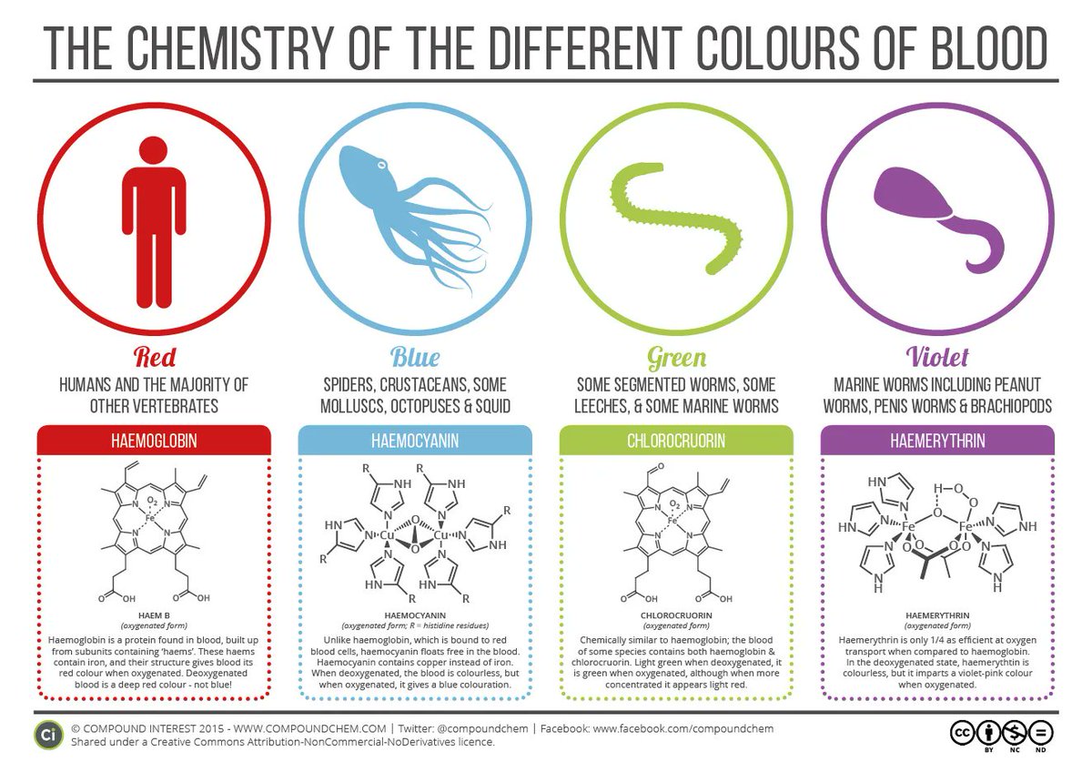 An octopus, in contrast, has genuinely blue blood. Octopi use hemocyanin as a respiratory pigment (so do some other mollusks). Hemocyanin is copper-containing, cell-free, a brilliant sapphire when oxygenated and nearly colorless when deoxygenated. Cool LR image:  @compoundchem /13