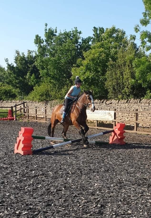 Coloured Cob Equestrian Centre tweet media
