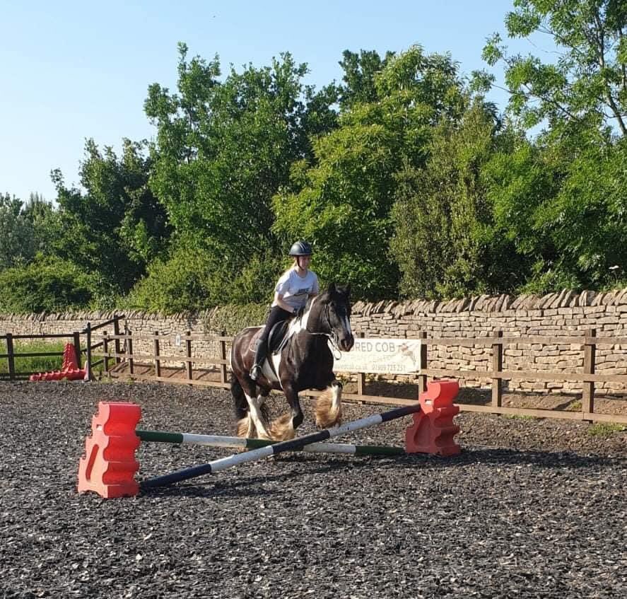 Coloured Cob Equestrian Centre tweet media