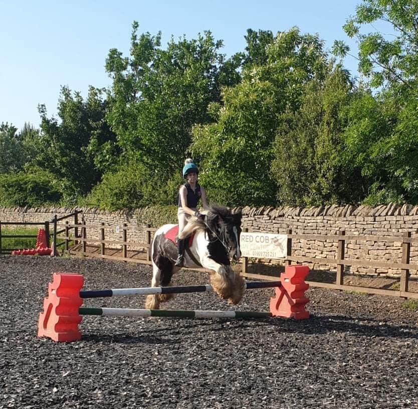 Coloured Cob Equestrian Centre tweet media