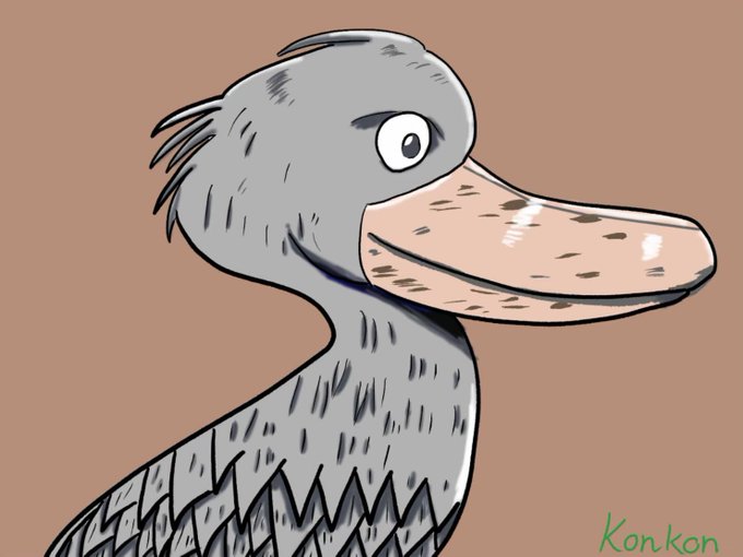 ハシビロコウのtwitterイラスト検索結果 ハシビロコウのtwitterイラスト検索結果