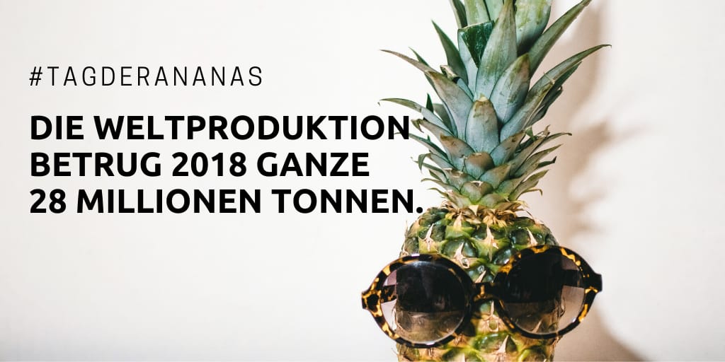BZL_aktuell's tweet photo. Zum #TagDerAnanas gibt es einen kleinen Einblick in die Welt der Zahlen zur leckeren Obstpflanze🍍.
Der größte Produzent von #Ananas ist Costa Rica, von wo Deutschland rund 75 % seiner Einfuhren bezieht. Weitere wichtige Importländer sind die Philippinen, Brasilien und Thailand. https://t.co/SDvGyWkwvV