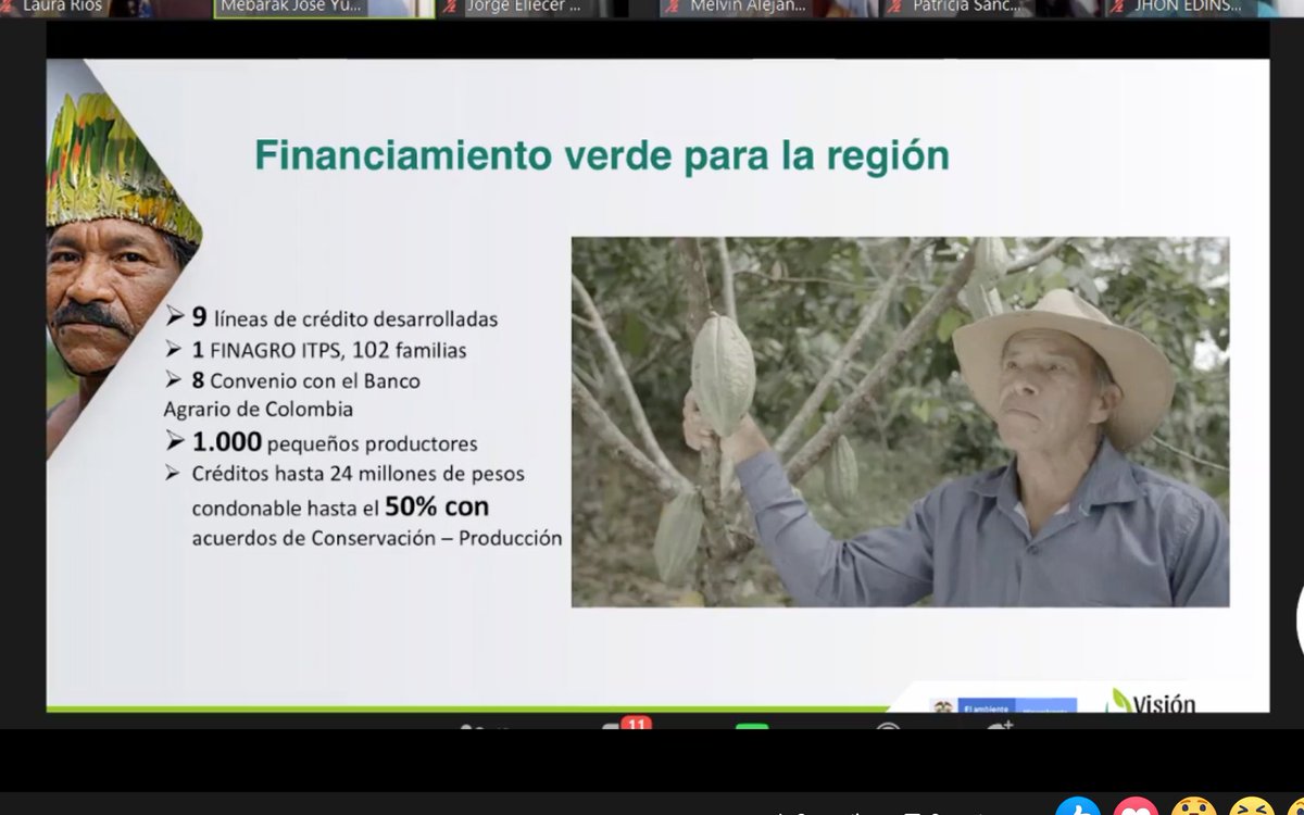 VisionAmazonia's tweet photo. "hemos diseñado 9 instrumentos financieros: reconversión ganadera - ITPS, piscicultura amazónica, sistemas productivos con caucho, cacao y no maderables del bosque, sistemas silvopastoriles, parcelas integrales" @joseyunis hablando de #AmazoniaSinDeforestacion https://t.co/mipGIirCNW