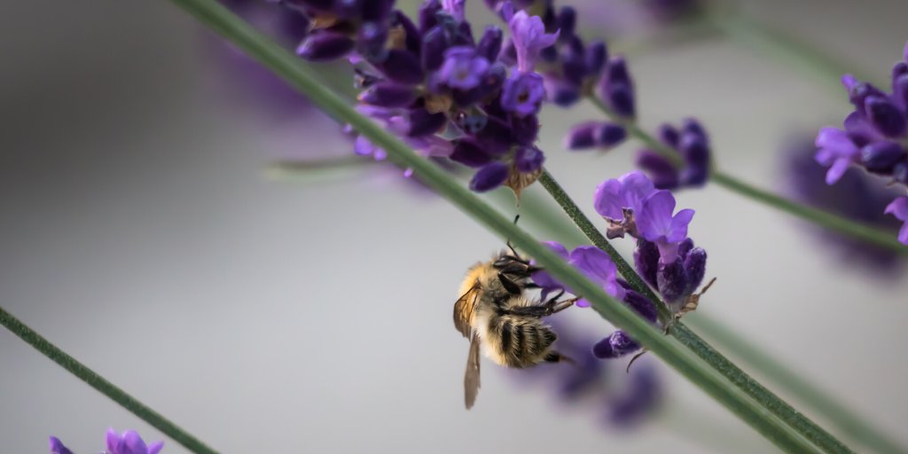 GatherIQ tweet media