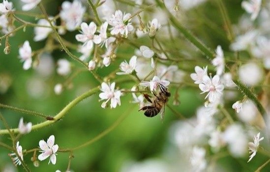 Docly's tweet image. Has your nose been running more than you have this week? High pollen counts in the hot weather mean more headaches than one for hayfever sufferers. Talk to our doctors or order your repeat prescription online #hayfever ow.ly/Yktp50Ahh7K