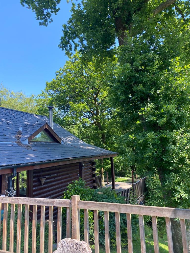 𝐖𝐚𝐥𝐞𝐬 𝐨𝐫 𝐭𝐡𝐞 𝐂𝐚𝐧𝐚𝐝𝐢𝐚𝐧 𝐑𝐨𝐜𝐤𝐢𝐞𝐬?

We are so excited to start working in this beautiful hidden gem of a property.