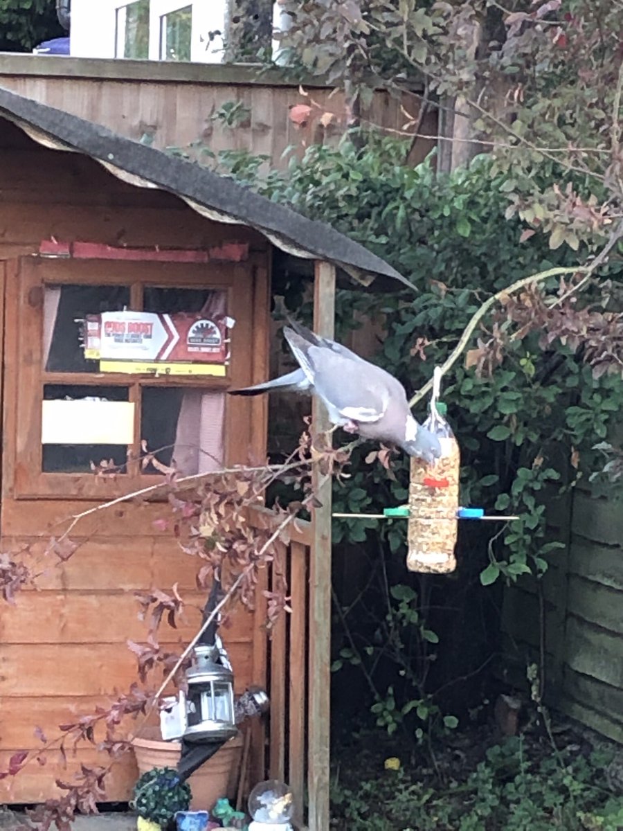 nickiksmith2's tweet photo. @RoyalPark_Y5_EP Jake making his bird feeder. He was then very excited to see a bird eating from it. https://t.co/IQV4RNEICA