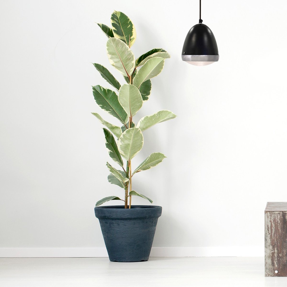 WWatsonBulbs's tweet photo. Love the Retro Car Lamps. Ideal gift for the Car enthusiast. Limited stock left. ⁠
.⁠
.⁠
.⁠
.⁠
.⁠
.⁠
.⁠
.⁠

#nordicdesign #beautiful #livingdecor⁠
#ceilingdesign #ceilingdesigns #ceilinglighting ⁠
#livingroomdesign #livingroomdecor #carlamp #vespalamp #cadillac https://t.co/Qx4yXVHmNT