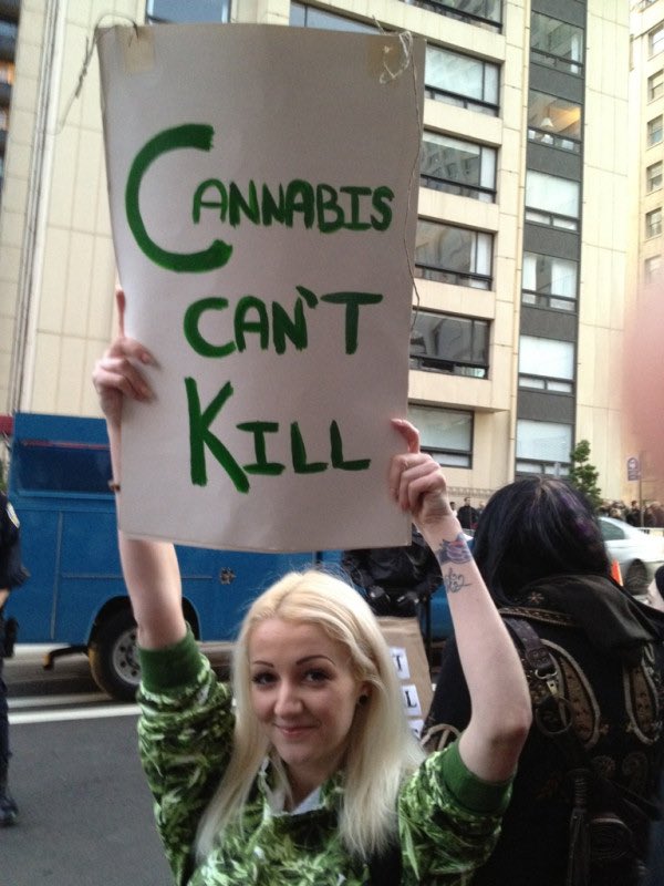 30. there’s no good reason for it to be illegal31. all animals have endocannabinoid systems32. its our responsibility to fight for this plant that cannot speak for itselfAll I want for my birthday is an end to the drug war.