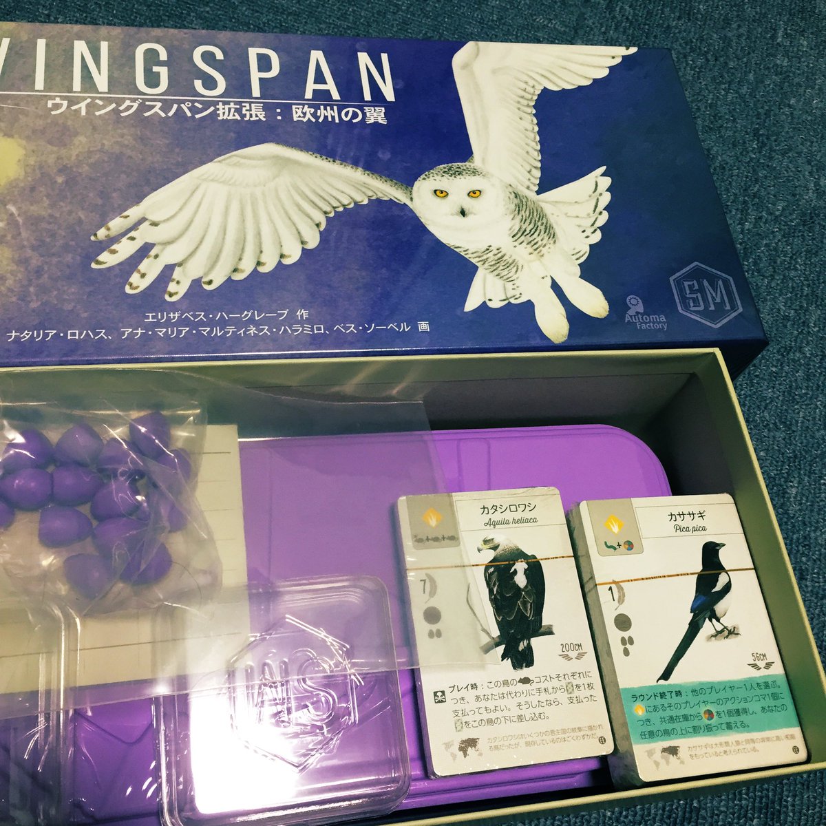 ろーるろーる ウイングスパン 拡張 欧州の翼のカードエラッタの件 どこのことだろうと思ってふたを開けたら なるほど巣の種類マークが白抜きじゃない た たしかにこれは見えにくくて分かりにくい W 交換って結構な枚数な気がしますが アーク