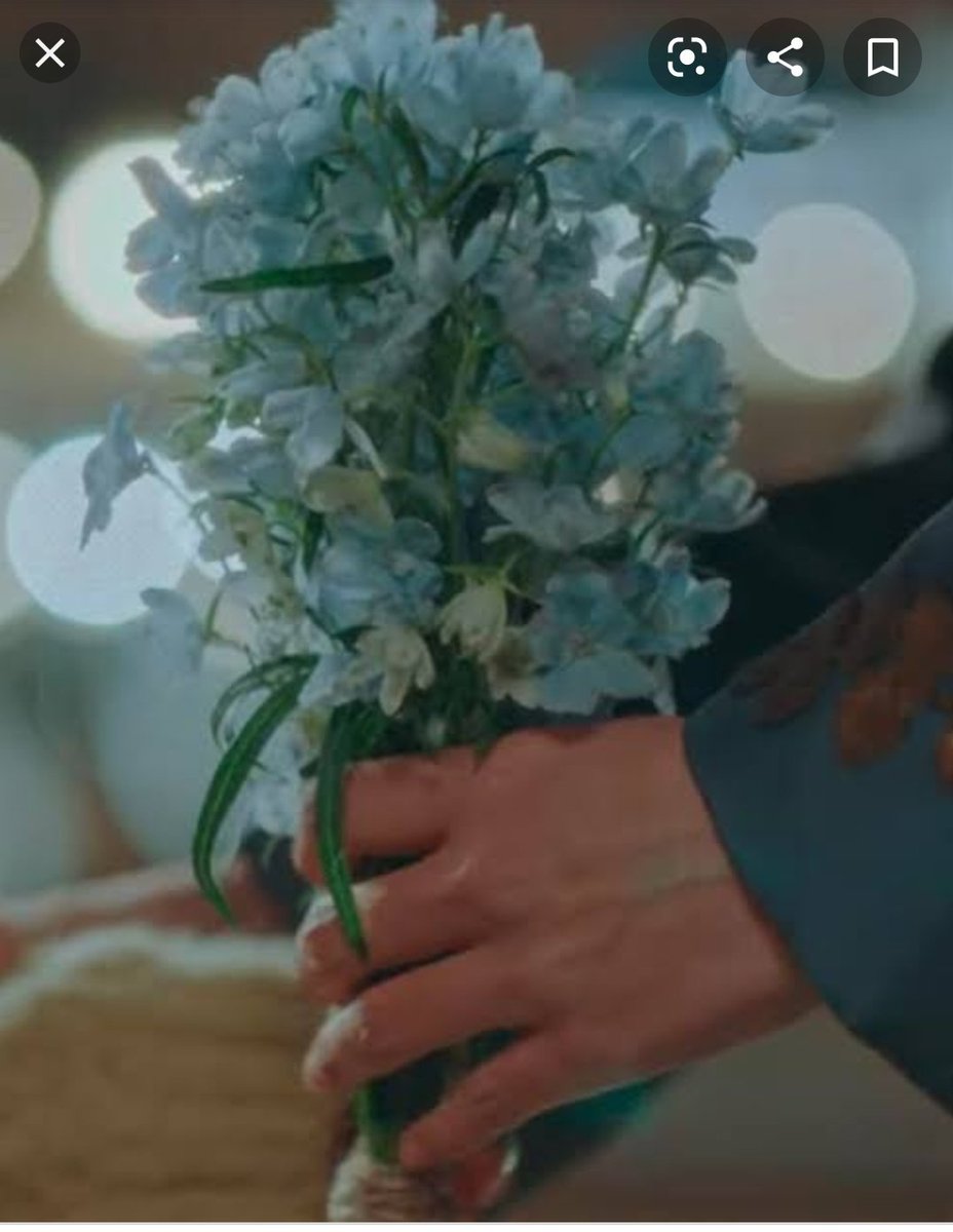 What flower is this?
🤔