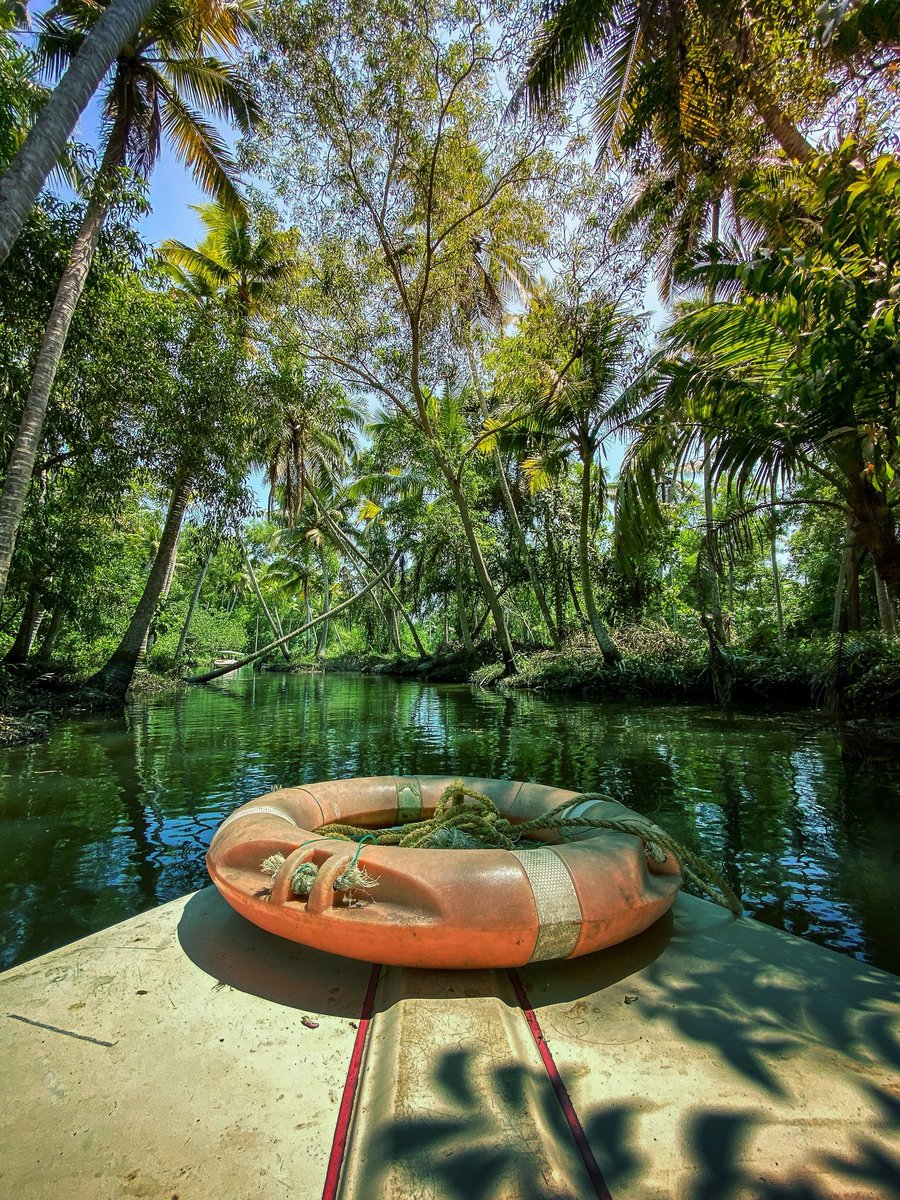 coffeekarma's tweet photo. Backwater. 🌴🌴 
#ShotoniPhone
@incredibleindia @KeralaTourism @NatGeoIndia @NGTIndia @NatGeo @NatGeoTravel @Apple @tim_cook @CNNTravel @BBCWorld https://t.co/bIWqY0Apge